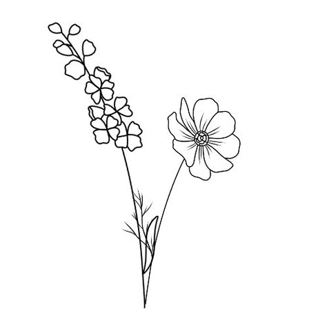 Larkspur and cosmos flowers Larkspur And Cosmos Flower Tattoo, Larkspur And Cosmos Tattoo, Larkspur Tattoo, Cosmos Tattoo, Ying Yang Tattoo, October Flowers, Yang Tattoo, Single Needle Tattoo, Tattoo Templates