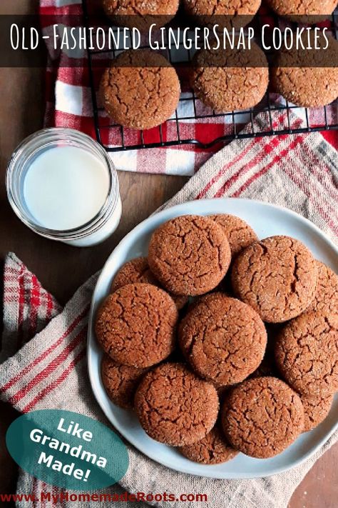 These Old-Fashioned Ginger Snap Cookies may look plain but they are full of old-time ginger flavor! Serve them for the holidays or have them any time of year with a hot cup of tea or a cold glass of milk. Churro Pretzels, Ginger Snap Cookies Recipe, Ginger Snaps Recipe, Ginger Cookie Recipes, Gingersnap Cookies, Cookie Maker, Molasses Cookies, Ginger Snap Cookies, Ginger Snap