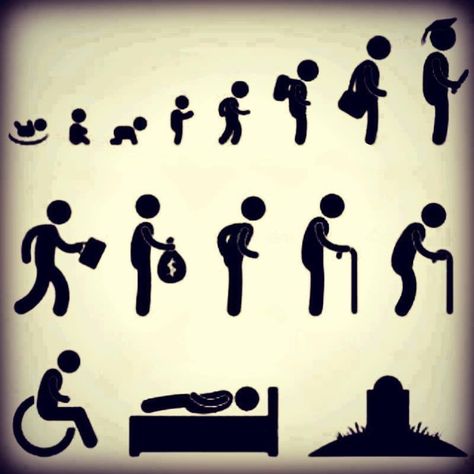 Life Human Life Cycle, Icons Website, Kids Study, Cycle Of Life, Cat Coloring Page, Life Stages, Old Age, Circle Of Life, Old People