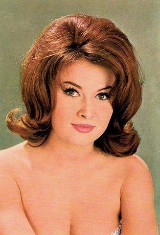 Sleep In Hair Rollers, 1960s Hair, Bouffant Hair, Hair Patterns, Hair Flip, Hair Rollers, Retro Hairstyles, Hair Curlers, Big Hair