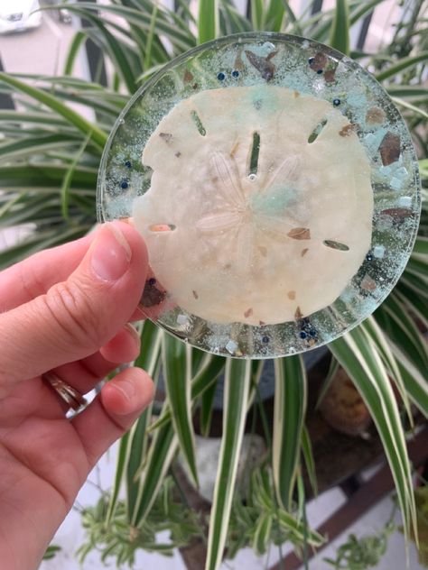 Sand Dollar Resin Coasters, Seashell Coasters With Resin, Ideas For Sand Dollars, Diy Sand Dollar Decor, What To Do With Sand Dollars, Sanddollar Crafts, Sand Dollar Decor, Beaded Jellyfish, Sand Dollar Craft