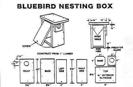 Bluebird Nest Box Kit Blue Bird Nesting Boxes, Screech Owl Nesting Box Plans, Bowerbird Nest, Bluebird House Plans, Hummingbird Nectar Recipe, Chelsea Michigan, Eastern Bluebird Nest Box Plans, Birdhouse Plans, Bluebird Nest