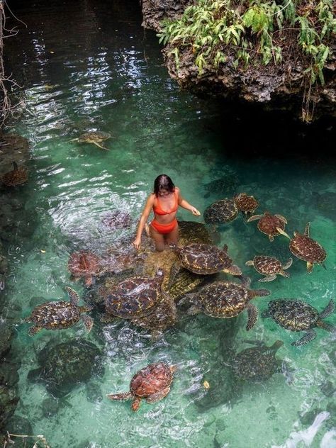 Taman Air, Zanzibar Tanzania, Summer Goals, Ocean Vibes, Gap Year, Dream Holiday, Dream Lifestyle, Summer Dream, Summer Photos