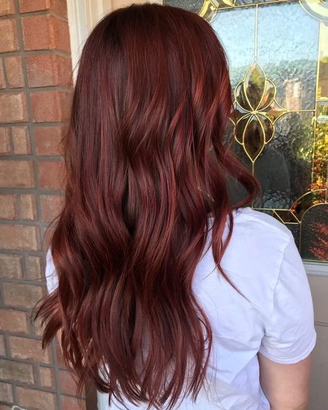 Hair Dye For Green Eyes, Chestnut Red Hair, Brownish Red Hair, Auburn Red Hair, Red Hair Looks, Wine Hair, Red Hair Inspo, Cherry Hair, Brown Hair Inspo