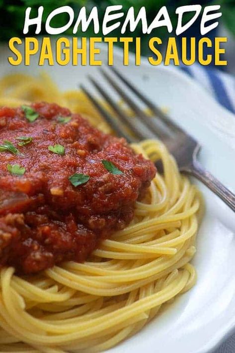 Homemade Spaghetti Sauce Best Homemade Spaghetti Sauce, Homemade Spaghetti Sauce Easy, Spicy Meatball, Delish Dinners, Homemade Spaghetti Sauce Recipe, Pizza Pies, Homemade Meat Sauce, Italian Meals, Cooking Tricks