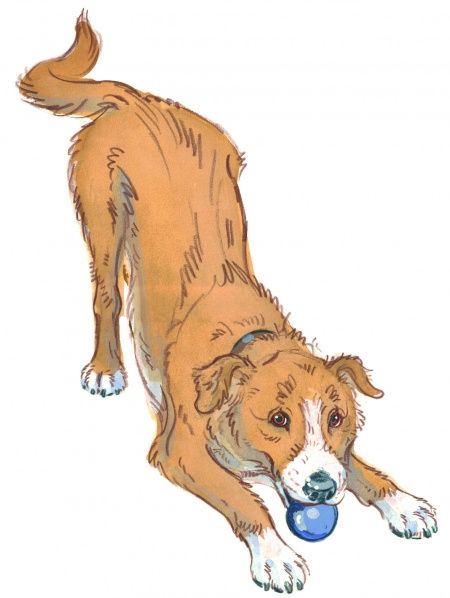 Drawing of a dog in a play bow pose looking happy and ready to play Dog Play Bow Drawing, Playful Dog Drawing, Playful Dog Pose, Dogs Playing Drawing, Dogs Playing Illustration, Dog Poses Drawing Reference, Dog Playing Drawing, Dog Reference Poses, Happy Dog Illustration