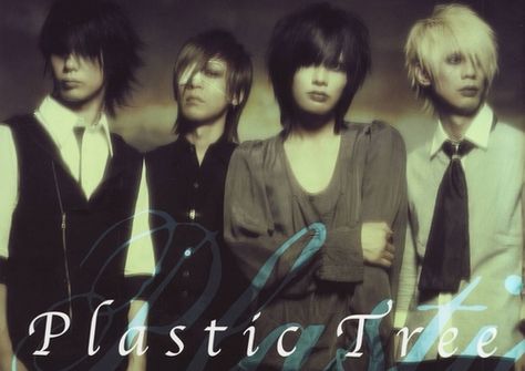 Plastic Tree Plastic Tree Band, Edge Of The Universe, Plastic Tree, Kei Visual, Dir En Grey, Love My Man, Survival Games, Tree Wallpaper, Band Posters