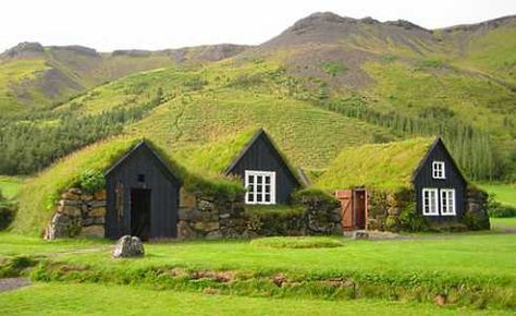 Green Roof Design - This green roof design is built on smaller houses, instead of a university like the first one. In this case the grass is growing from the ground sloping up onto the roof giving the house a curved effect. Case Sotterranee, Sod Roof, Green Roof Design, Turf House, Earth Sheltered Homes, Casa Hobbit, Grass Roof, Earth Sheltered, Living Roofs