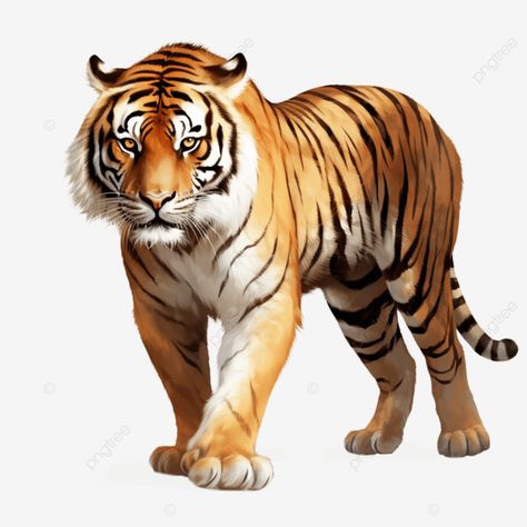 bold and regal confident tiger s dominion tiger clipart tiger wildlife clipart png Picture Of Tiger, Tiger Clipart, Tiger Png, Tiger Images, Cat Brain, Fairytale Nursery, Kawaii Penguin, Tiger Pictures, Kids Poems