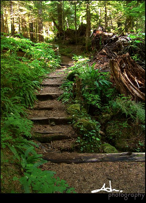 Landscaping On A Hill, Haystack Rock, Landscape Design Drawings, Garden Stairs, Farmhouse Landscaping, Sloped Garden, Landscape Elements, Rock Garden Landscaping, Cannon Beach