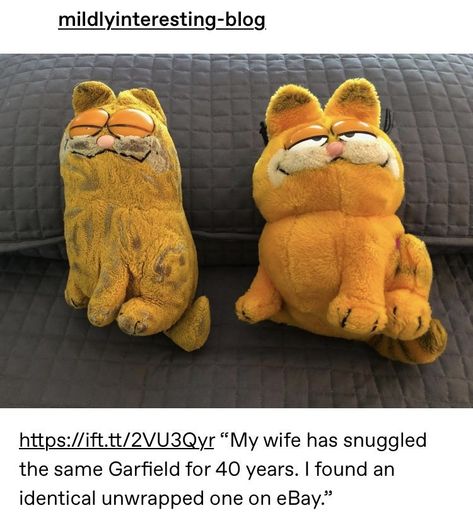 Fat Orange Cat, Garfield Pictures, Garfield Images, Garfield Cat, Be Love, To Be Loved, Fat Cats, Orange Cat, Cartoon Cat