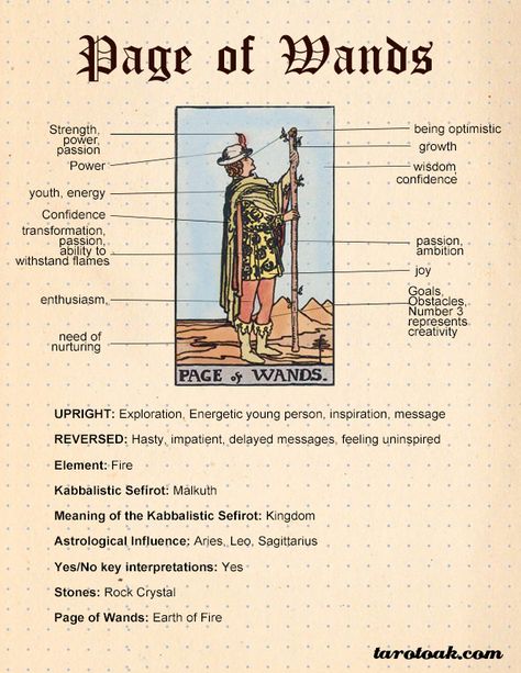 Page of Wands Tarot Card Meaning | Tarot Oak Tarot Pages Meaning, Pages In Tarot Meaning, Page Of Wands Tarot Meaning, Page Of Wands Tarot, 2 Of Wands, Tarot Card Meanings Cheat Sheets, Kartu Tarot, Page Of Wands, Tarot Interpretation