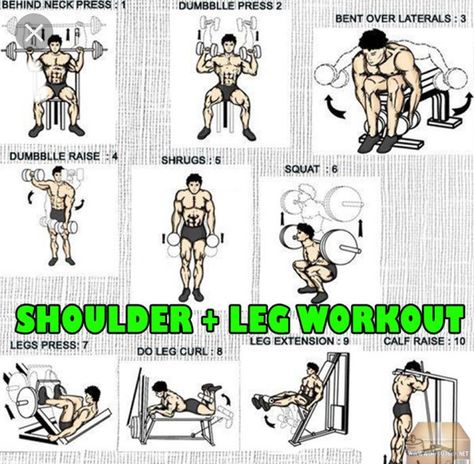 Shoulders and legs Shoulder And Leg Workout, Arnold Workout, Leg Workout Plan, Shoulder Workout Routine, Workouts Exercises, Leg Workouts Gym, Shoulders Workout, Shoulder Exercises, Training Routine