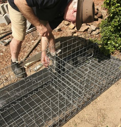 Gabion Retaining Wall, Gabion Fence, Broken Concrete, Gabion Baskets, Gabion Wall, Dry Creek, Backyard Fences, Fence Design, Garden Structures