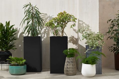 Modern Planters Outdoor, Front Yard Decor, Porch Planters, Potted Plants Outdoor, Backyard Pool Landscaping, Modern Garden Design, Indoor Outdoor Planter, Matte Blush, Tall Planters