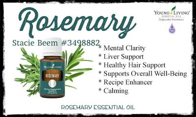 Eyebrow Serum Diy, Diy Rosemary Essential Oil, Rosemary Uses, Young Living Rosemary, Diy Serum, Detox Your Home, Rosemary Essential Oil, Eyebrow Serum, Young Living Essential Oils Recipes