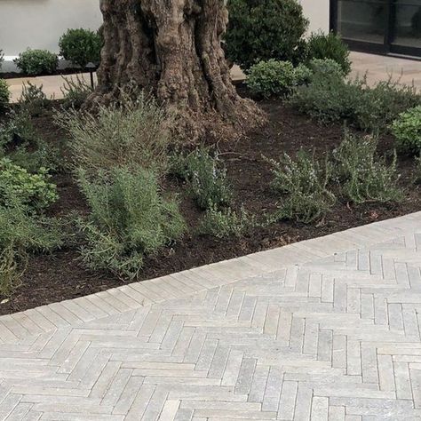 Exquisite Surfaces on Instagram: "Particularly dynamic in a herringbone pattern, the newest offering in our Cobblestone collection, Meknes Tumbled Pavers, creates a stunning welcome home in this expansive driveway installation.⁠ ⁠ This newly quarried, beautiful Moroccan limestone is full of charm and character, possessing a pronounced variation of light-to-dark cool gray tones and a heavily tumbled finish.⁠ ⁠ Product: Meknes Tumbled Pavers⁠ Material: Limestone⁠ Provenance: Morocco⁠ ⁠ 📝 Link in bio" Herringbone Pathway, White Brick Driveway, Checkered Driveway, Herringbone Paver Patio, Pavers Courtyard, Herringbone Driveway, Herringbone Floor Outdoor, Gray Pavers, Paved Driveways