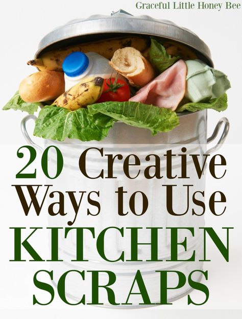 See this list of 20 Creative Ways to Use Kitchen Scraps and learn how to reduce food waste and save money. Ideas include candied orange peel and apple scrap jelly! Apple Scrap Jelly, Kitchen Scraps, Broccoli Stems, Candied Orange, Candied Orange Peel, Croutons Homemade, Food Scraps, Frugal Meals, Reduce Food Waste