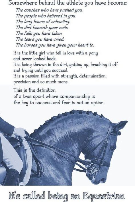 fear is not an option Equine Quotes, Inspirational Horse Quotes, Horse Riding Quotes, Equestrian Quotes, Riding Quotes, Riding A Horse, Equestrian Helmet, Horse Quotes, Horse Blankets