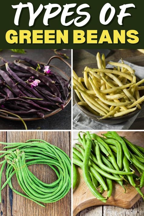 The most common types of green beans include string beans, haricots verts, asparagus beans, and Romanos. Try them all today! String Beans, Grean Beans, Green Bean Seeds, Italian Green Beans, Growing Green Beans, Growing Beans, The Best Green Beans, Snap Beans, French Green Beans