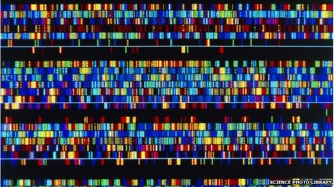 Genome Dna Facts, Dna Art, Life Code, Genetic Diseases, Dna Sequence, Human Genome, Human Dna, Science Photos, Molecular Biology