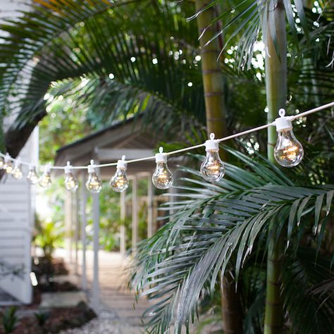 Festoon Lights, Diy Snow Globe, Fairy Lights Bedroom, Magical Tree, Festoon Lighting, Pink Houses, Garden Paths, Garden Lighting, Amazing Gardens