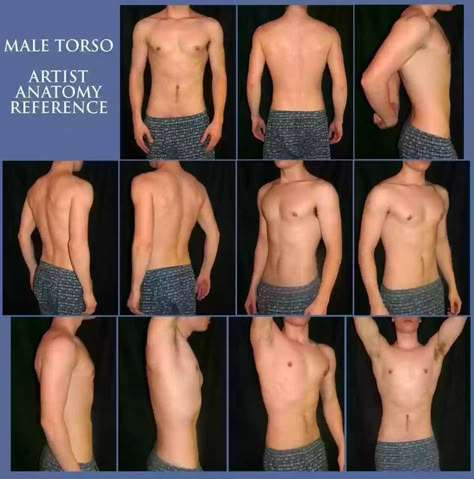 Male Torso Anatomy, Man Anatomy, Male Torso, Photographie Portrait Inspiration, Anatomy Poses, Body Reference Drawing, Model Sheet, Human Reference, Body Reference Poses