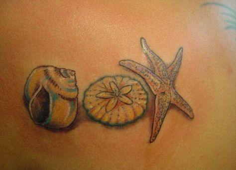 Seashell tattoos  can be tiny and dainty or big and bold.  This kind of tattoos also has many characters and meanings. Anyone from a marine background will Sand Dollar Tattoo, Sea Tattoos, Beach Inspired Tattoos, Dollar Tattoo, Beach Tattoos, Starfish Tattoo, Seashell Tattoos, Tattoo Pics, Shell Tattoos