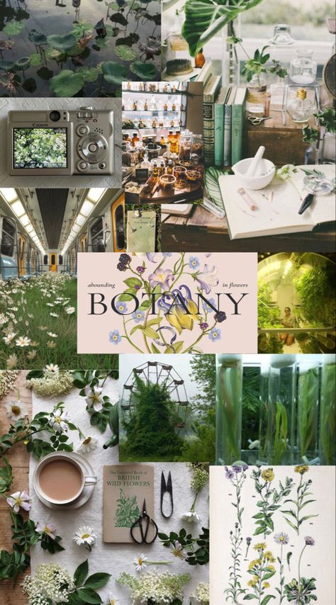 Botany Wallpaper Aesthetic, Botany Study Aesthetic, Environment Science Aesthetic, Plant Scientist Aesthetic, Science Core Outfit, Botanical Mood Board, Botany Aesthetic Wallpaper, Botany Student Aesthetic, Horticulture Student Aesthetic