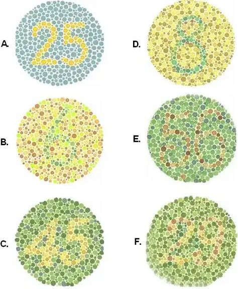 Can you pick out subtle differences in colours? Put your eye color test in front of a computer screen with this online eye color blindness test. Is there a correlation between color blindness and my eye color? Eye Color Test, Color Blind Test, Color Blind Glasses, Blind Test, Materi Bahasa Jepang, Color Vision, Blind Eyes, Eye Test, Eye Exam