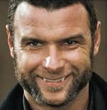 Liev Schreiber as Victor Creed Wolverine Pictures, Sabretooth Marvel, X Men Movie, Victor Creed, Origins Wolverine, Xmen Movie, X Men Funny, Wolverine Movie, Ray Donovan