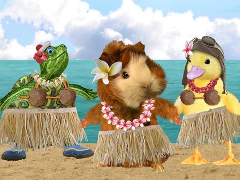 Wonder Pets, Hamsters, Stuffed Animals, The Beach, Wonder, Animals