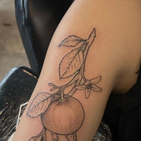 Dom on Instagram: "clementine branch 🍊   #dipandrip #dipnrip #blackwork #tattoos #blackandgrey #lancastercitytattoos #lancastercity #clementine #tattooed #tattooing #ink #eternalink #tattooartist #inklife #dynamicink #tattoo #lancastertattoo #lancaster #leola #privatestudio #tattooedbydom #blackandgreytattoo #tattoodesign" Citrus Branch Tattoo, Clementine Tree Tattoo, Fruit Branch Tattoo, Orange Branch Tattoo, Tangerine Tattoo, Clementine Tattoo, Orange Branch, Nice Tattoos, Branch Tattoo