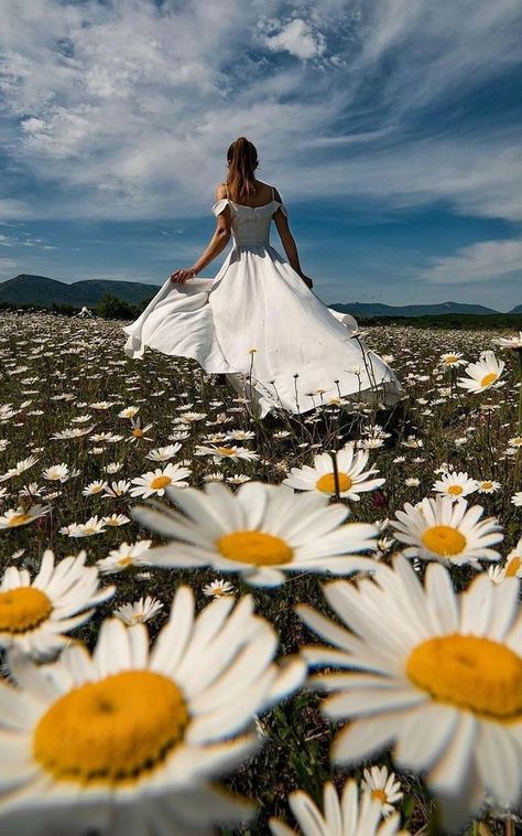 Field Of Daisies, Sunflower Photography, Phone Photo Editing, Flower Photoshoot, Dreamy Photography, Summer Photoshoot, Winter Photos, Cute Photography, Photography Lessons