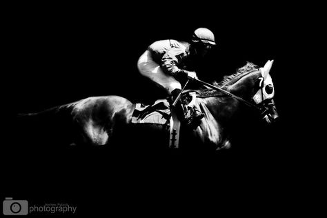 Andrew Ryback photography. Race Horse Photography, Horse Racing Photography, Jockey Aesthetic, Horses Aesthetic, Equestrian Stables, Race Photography, Horse Story, Thoroughbred Horse Racing, Race Horse