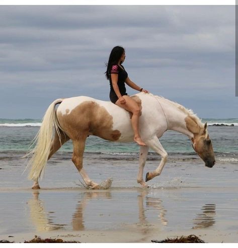 Alycia Burton, Woman Riding Horse, Bareback Riding, Horse Riding Aesthetic, Horse Water, Horse Riding Equestrian, Horse Aesthetic, Horse Videos, Horse Drawing