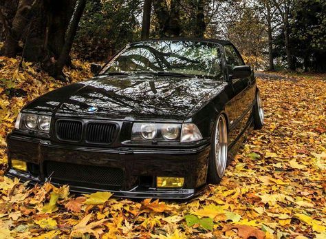 BMW E36 3 series cabrio black slammed fall 1997 Bmw M3, Bmw E36 Compact, Bmw Compact, Bmw M3 Convertible, E36 Compact, Bmw M3 Coupe, Bmw 318, E46 Sedan, E36 Coupe