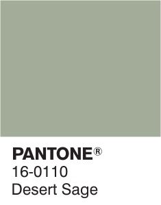 Desert Sage Design Color Trends, Pantone Palette, Pantone Colour Palettes, Desert Sage, Wall Colour, Kitchen Wall Colors, Sage Green Wedding, Sage Color, Bath Room