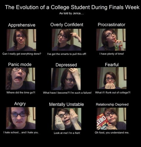 The evolution of a college student during finals week. It's actually pretty accurate haha...wait that's just sad. College Finals, Grants For College, Memes In Real Life, Finals Week, College Humor, Disney Memes, School Humor, Take Two, College Student