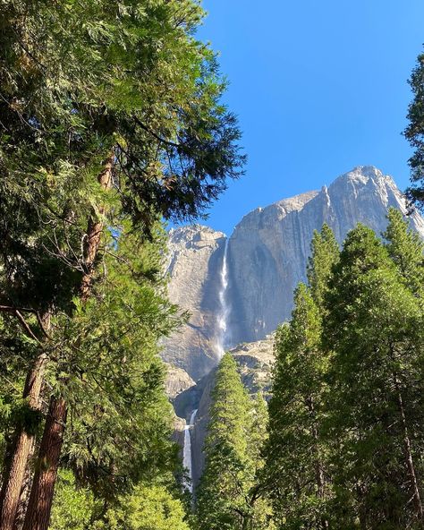 Yosemite National Park 🏞️🌿⛰️ #usa #travel #nationalpark #explore #yosemite #nature #waterfall #trip #bestplacestogo National Park Yosemite, Yosemite In September, Sequoia National Park Aesthetic, Wawona Yosemite, North America Aesthetic, Yosemite National Park Aesthetic, Yosemite Aesthetic, Lizzie Core, Beautiful Nature Aesthetic