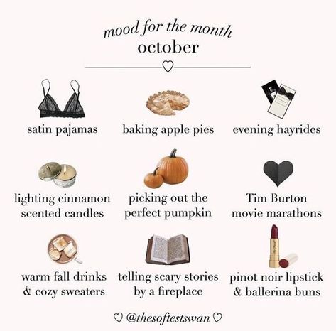 Niche Memes, Fall Mood Board, Fall Bucket List, Fall Inspo, Aesthetic Things, Classy Aesthetic, Fall Feels, Princess Aesthetic, Fall Essentials