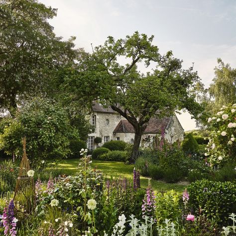 English Flower Garden, Flowers House, French Exterior, Honey Locust, Herbaceous Border, Garden Architecture, French Garden, Gorgeous Gardens, House Garden