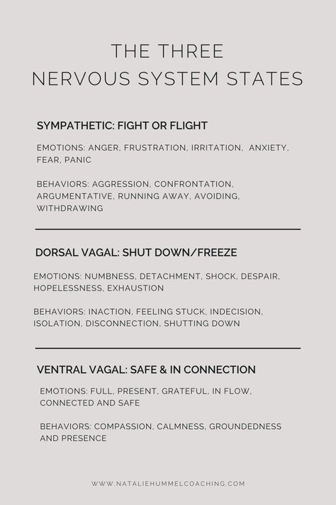 Use this post as a guide to figure out what nervous system state you're in. This will help you during your healing journey to identify when you need to regulate your nervous system. Take my Nervous System Quiz on my website at nataliehummelcoaching.com to find out if you're in survival mode. Living In Survival Mode, Dysregulated Nervous System, Regulate Your Nervous System, Power Of Healing, Autonomic Nervous System, Energy Healing Spirituality, Vagus Nerve, Survival Mode, Work Harder