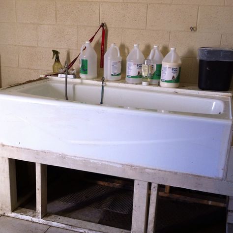 DIY dog washing station Homemade Dog Bath Tub, Diy Dog Bath, Dog Bathing Station, Dog Tub, Diy Dog Wash, Diy Dog Run, Dog Station, Dog Bath Tub, Washing Station