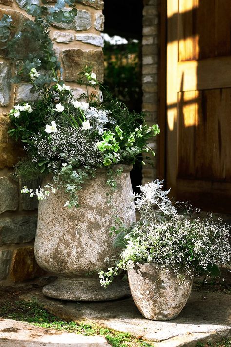 Barnacle Urn, 20" | Terrain Summer Planter, Herb Gardens, Flower Pot Garden, Outdoor Gifts, Outdoor Pots, Sag Harbor, Greenhouses, Flower Planters, Outdoor Planters