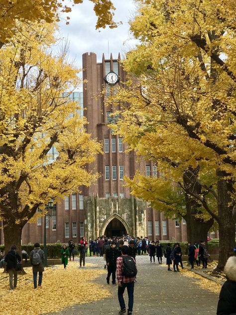 Tokyo University Of The Arts, University Of Tokyo Aesthetic, Sophia University Tokyo, University In Japan, University Background, Japan University, Japanese University, University Of Tokyo, Tokyo University