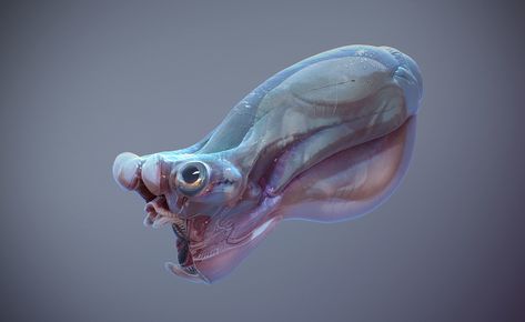 ArtStation - Fish Skin Study01, Tyler Smith Alien Fish, Space Monster, Tyler Smith, Alien Life Forms, Alien Character, Fish Skin, Alien Concept, Cool Monsters, Alien Design