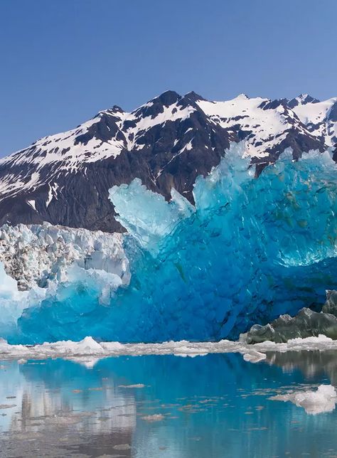 Glacier Ice in Glacier Bay Glacier Bay Alaska, Alaska Glaciers, Glacier Bay National Park, Temperate Rainforest, Glacier Bay, Breathtaking Places, Jolie Photo, Glacier National Park, Amazing Nature