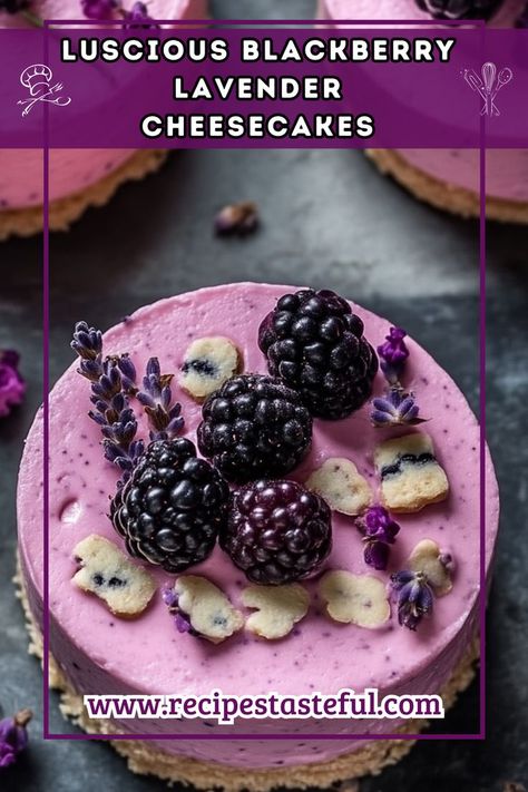 Delight in these creamy mini cheesecakes infused with culinary lavender and topped with a luscious blackberry sauce. Perfect for any occasion, these desserts are as beautiful as they are delicious. Lavender Cheesecake, Blackberry Lavender, Blackberry Sauce, Blackberry Recipes, Culinary Lavender, Mini Cheesecakes, Graham Cracker Crumbs, Desserts Recipes, Graham Crackers