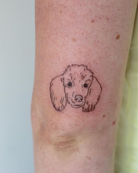 Poodle Tattoo, minimalist poodle tattoo, poodle tattoo ideas, toy poodle tattoo, poodle tattoo outline, standard poodle tattoo, simple poodle tattoo, geometric poodle tattoo, traditional poodle tattoo, black poodle tattoo, mini poodle tattoo, small poodle tattoo, cute poodle tattoo, realistic toy poodle tattoo, poodle tattoo designs, minimalist toy poodle tattoo, small simple poodle tattoo, minimalist poodle tattoo designs, french poodle tattoo, poodle tattoo images, cartoon poodle tattoo Black Poodle Tattoo, Dog Tattoo Poodle, Poodle Outline Tattoo, Cockapoo Tattoo, Toy Poodle Tattoo, Poodle Tattoo Ideas, Tattoo Designs Minimalist, Cartoon Poodle, Poodle Tattoo